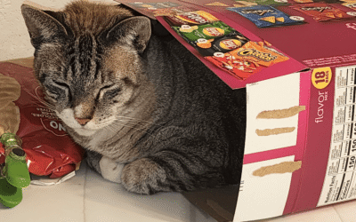 All that and a “Bag of Chips”